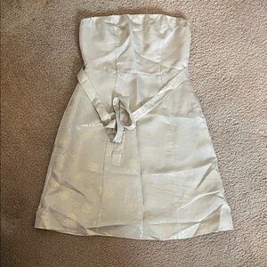 The Limited Strapless Cream shimmer Dress